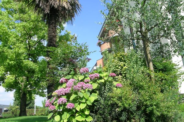 Locanda Da Vito (Provinz Venedig)